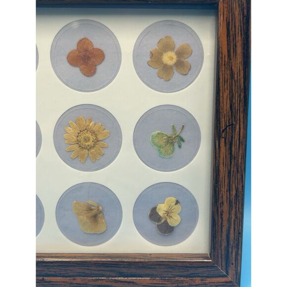 Vintage Small Dried Pressed Flowers In Frame Wall Hanging Decor 6” Square - Picture 3 of 6